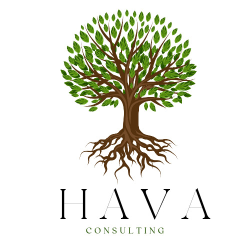 Hava Consulting Profile Picture